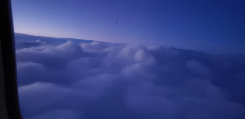 20190901_061526.jpg